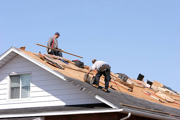 Best Roof Insulation Installation  in Sacaton, AZ